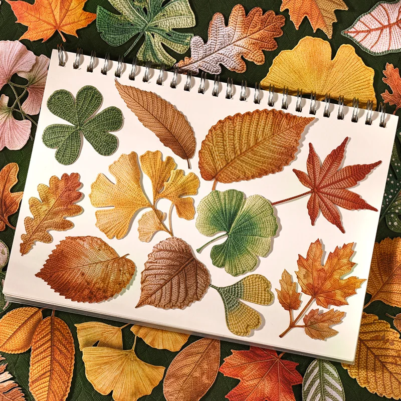 20 Stickers Per Pack Yarn Autumn Leaves Series Knit Style Sticker Pack Autumn Theme Leaf Decoration Supplies cute stickers
20 Stickers Per Pack Yarn Autumn Leaves Series Knit Style Sticker Pack Autumn Theme Leaf Decoration Supplies cute stickers