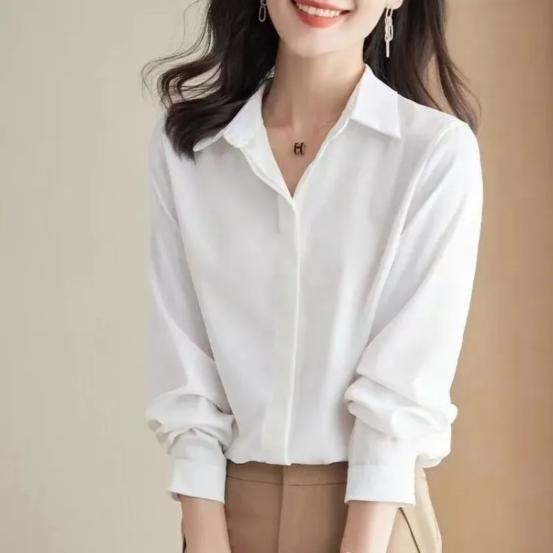 Women's Long Sleeve Chiffon Shirt Ol Loose Casual Office Blouse
Women's Long Sleeve Chiffon Shirt Ol Loose Casual Office Blouse