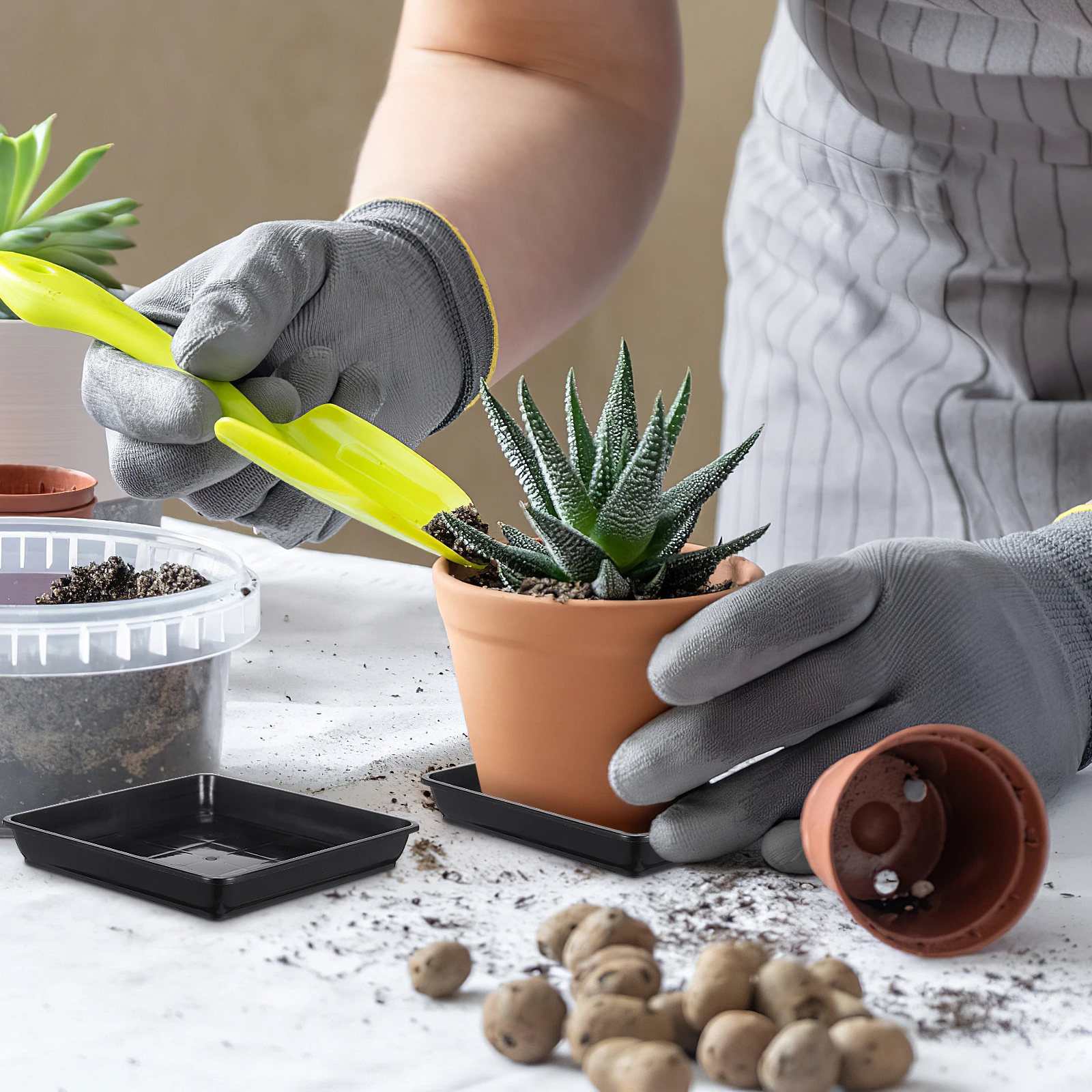 8pcs Plastic Flower Pot Tray Bonsai Square Durable Leakproof Water Tray For Plant Pot Gardening Resin Pp Saucer Reusable 
8pcs Plastic Flower Pot Tray Bonsai Square Durable Leakproof Water Tray For Plant Pot Gardening Resin Pp Saucer Reusable