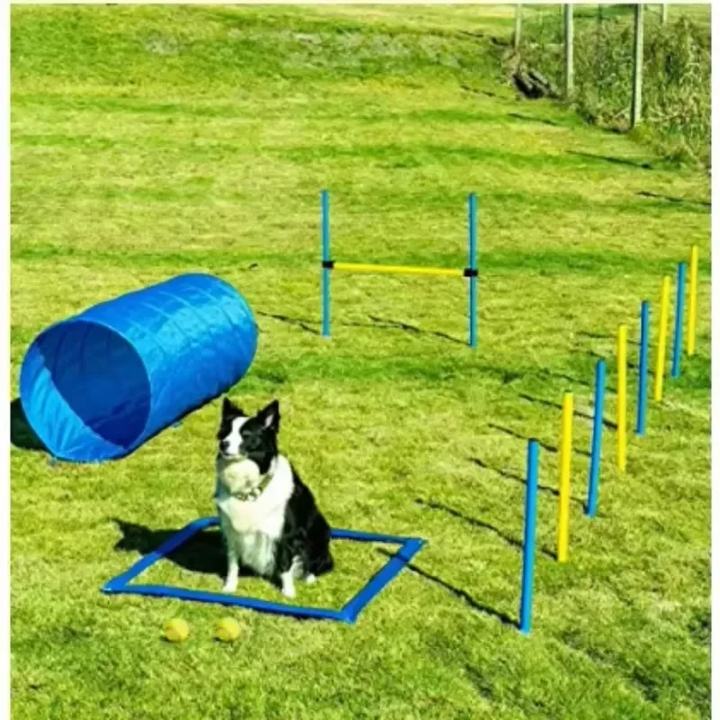 Detachable Outdoor Pet Supplies Plastic Dog Agility Training Equipment Hurdle Jump for Dogs
Detachable Outdoor Pet Supplies Plastic Dog Agility Training Equipment Hurdle Jump for Dogs