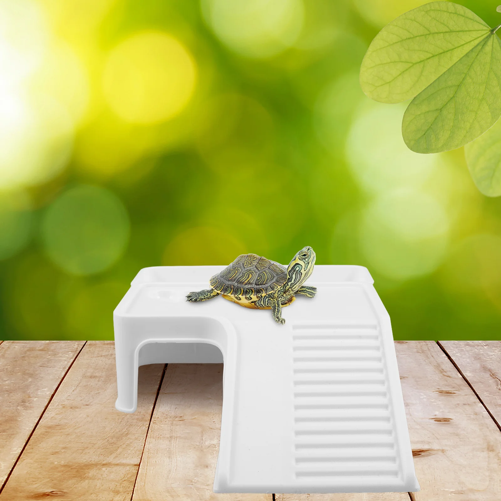 Turtle Basking Platform Multi-Functional Reptile Hideout with Natural Design for All Turtle Species Lightweight Easy to Clean
Turtle Basking Platform Multi-Functional Reptile Hideout with Natural Design for All Turtle Species Lightweight Easy to Clean