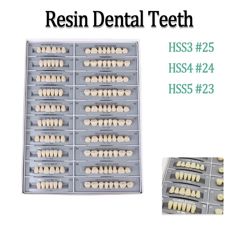 140Pcs/Box Dental Materials Synthetic Polymer Resin Denture Dental Teaching Model A2
140Pcs/Box Dental Materials Synthetic Polymer Resin Denture Dental Teaching Model A2