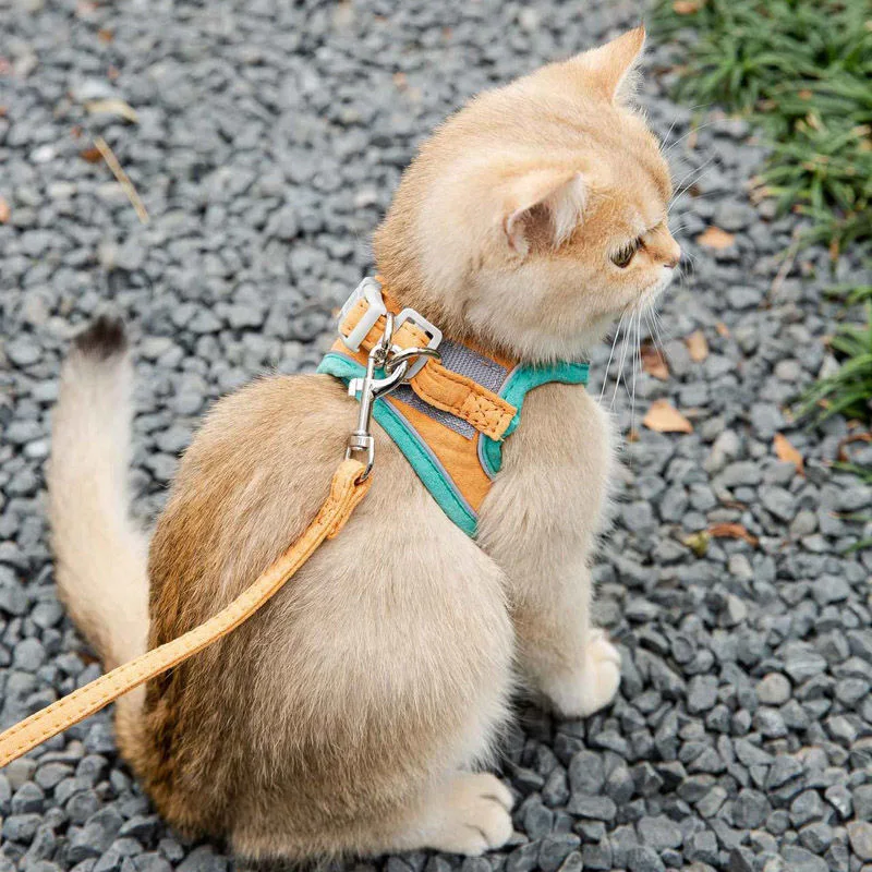 Cute Vest Style Cat Harness Leash Set Escape Proof Adjustable Reflective Magic Tape Safety Buckle S/M/L For Kitten Small Pet
Cute Vest Style Cat Harness Leash Set Escape Proof Adjustable Reflective Magic Tape Safety Buckle S/M/L For Kitten Small Pet