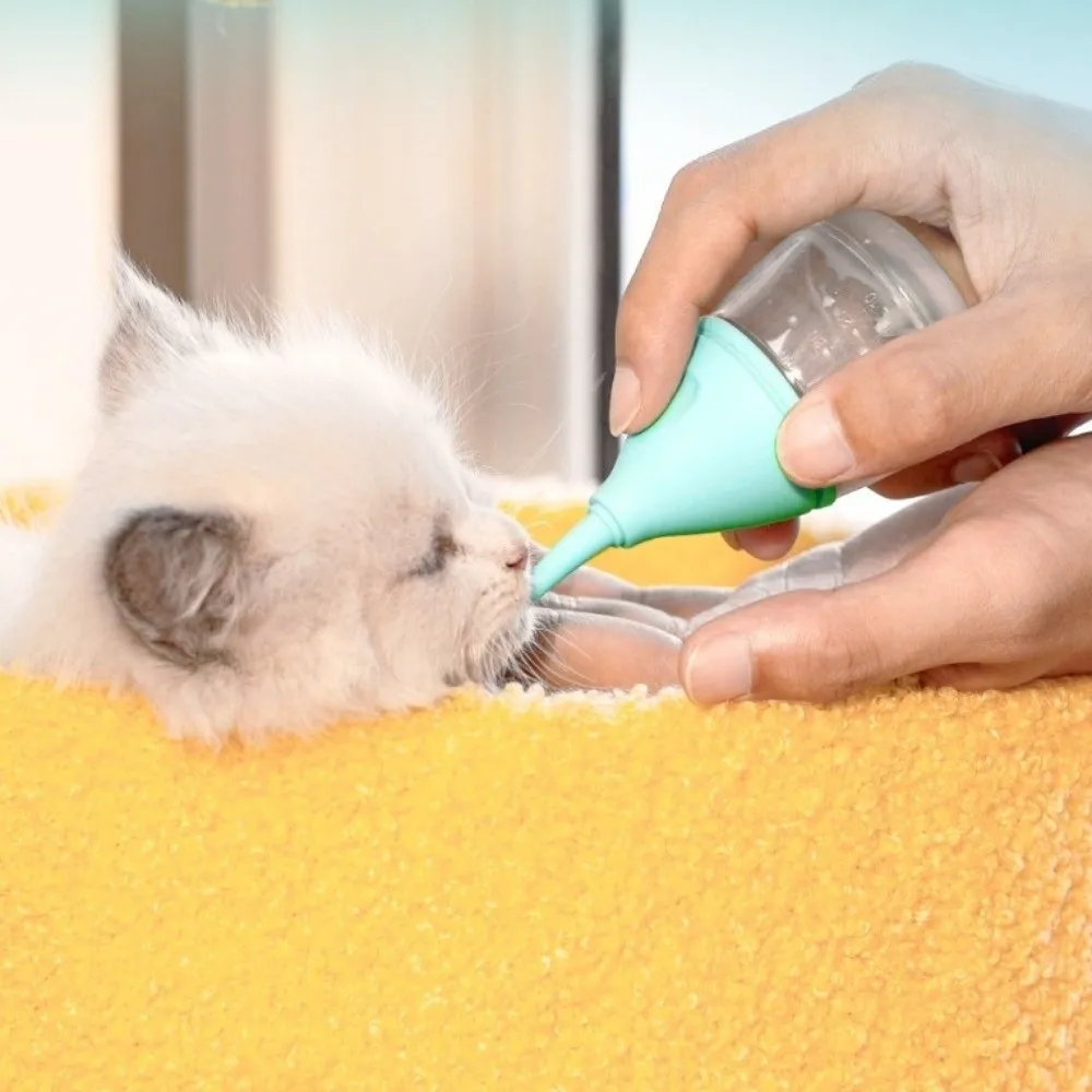 Silicone Cat Feeding Bottle Anti Choking Detachable Lid Pet Nursing Bottle with Scale Bite Resistant Puppy Milk Bottles
Silicone Cat Feeding Bottle Anti Choking Detachable Lid Pet Nursing Bottle with Scale Bite Resistant Puppy Milk Bottles