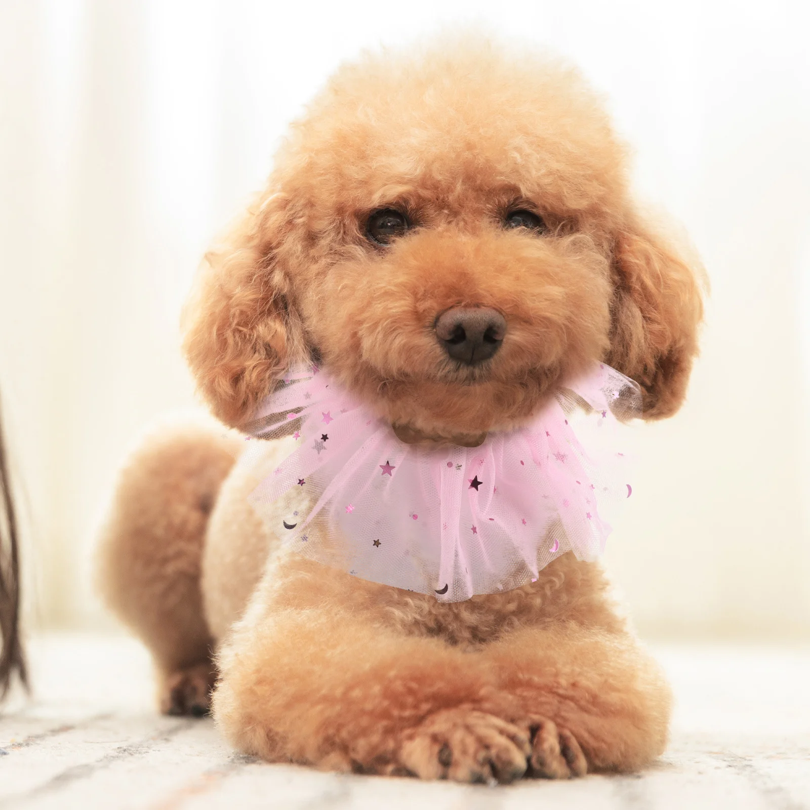 1Set Pet Birthday Costume Cat Princess Accessories Sequin Bib Rhinestone Tutu Felt Hat Small Dogs Photo Prop Decorations
1Set Pet Birthday Costume Cat Princess Accessories Sequin Bib Rhinestone Tutu Felt Hat Small Dogs Photo Prop Decorations