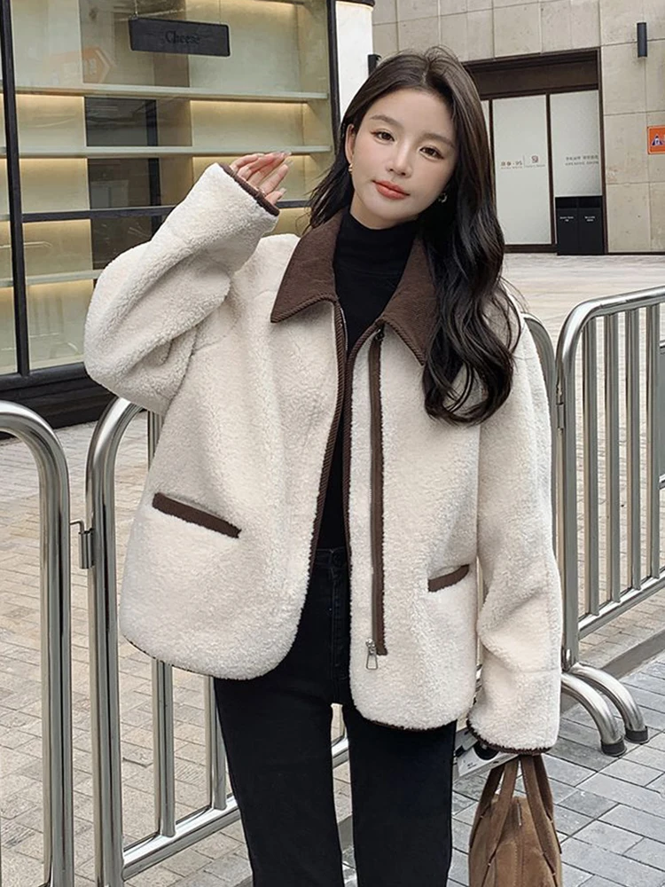 Streetwear Y2K Faux Lamb Coat Women Vintage Loose Design Faux Suede Inside Jacket Casual American Retro Fall Winter Harajuku Top
Streetwear Y2K Faux Lamb Coat Women Vintage Loose Design Faux Suede Inside Jacket Casual American Retro Fall Winter Harajuku Top