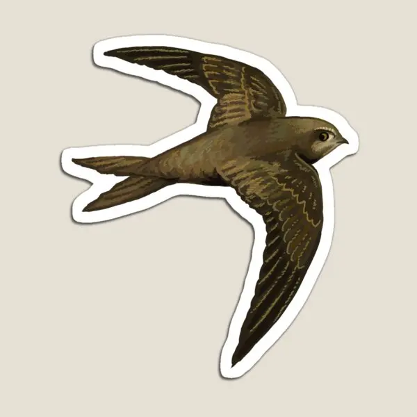 Common Swift Magnet Decor for Fridge Organizer Cute Toy Baby Colorful Kids Children Refrigerator Holder Magnetic Home Funny
Common Swift Magnet Decor for Fridge Organizer Cute Toy Baby Colorful Kids Children Refrigerator Holder Magnetic Home Funny