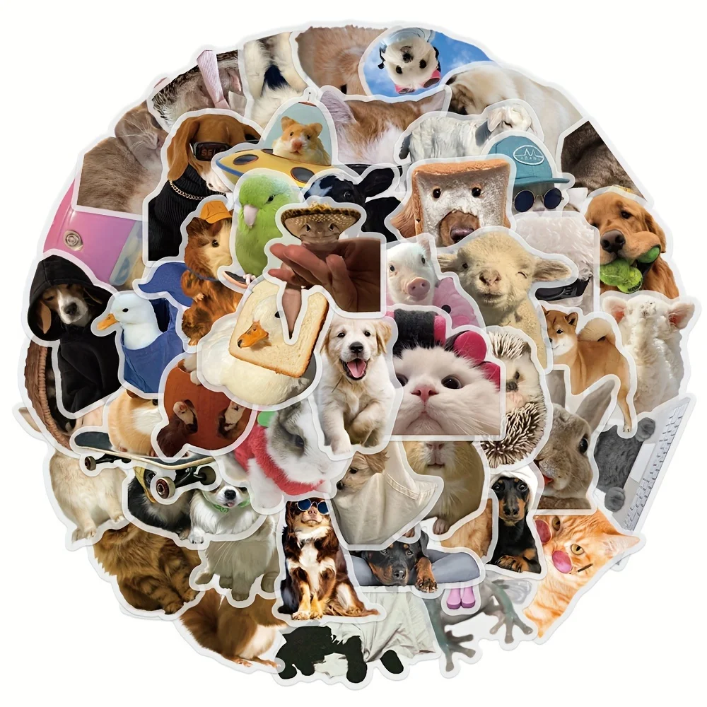 10/50PCS Interesting Animal Gaze Graffiti Stickers Exquisite Fashion DIY Toys Secret for Bottle Travel Bag Aesthetic Decals
10/50PCS Interesting Animal Gaze Graffiti Stickers Exquisite Fashion DIY Toys Secret for Bottle Travel Bag Aesthetic Decals
