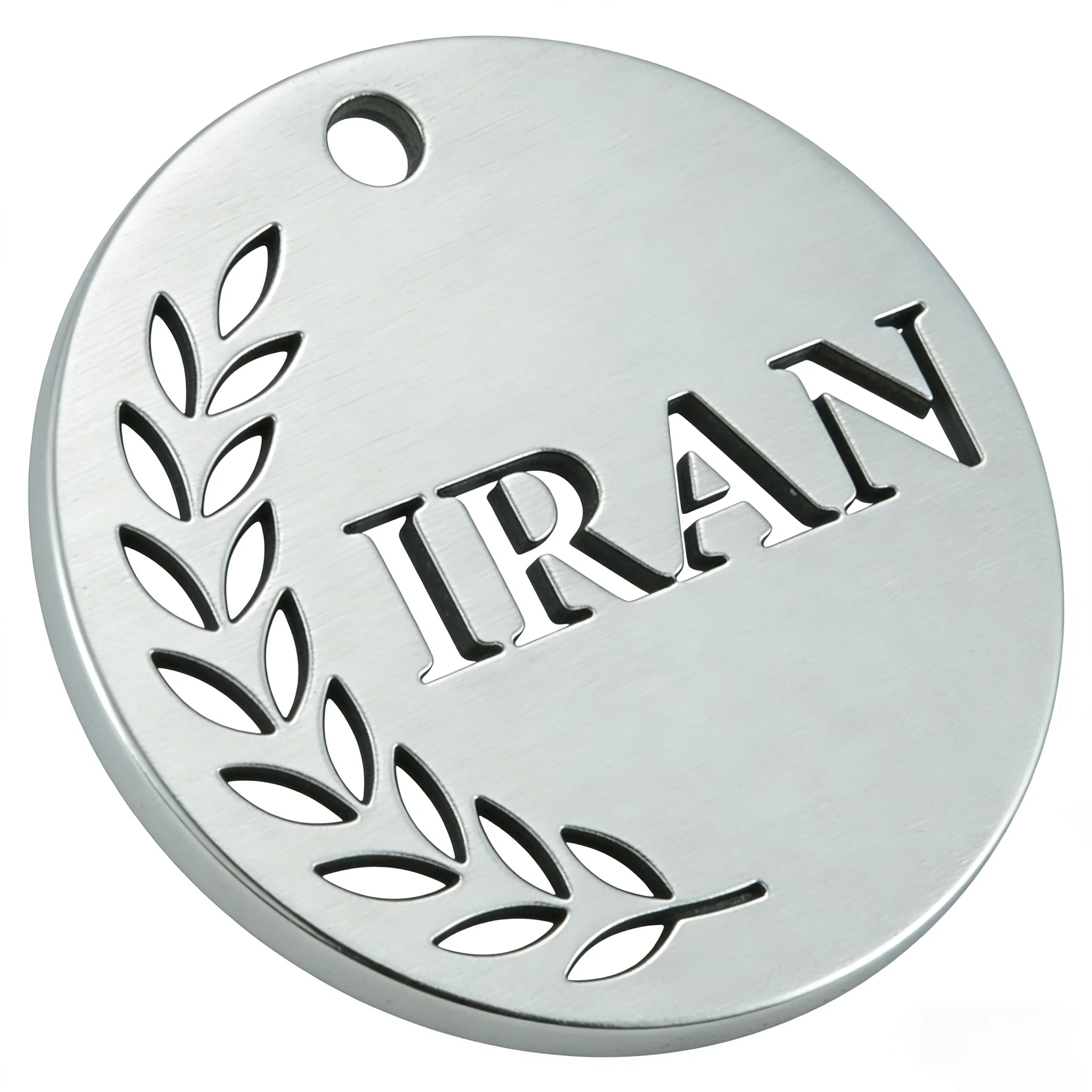 Fnixtar Custom 100pcs 20mm Stainless Steel Heart Round Disc Olive Branch Iran Map Pendant for Necklace Jewelry Accessories
Fnixtar Custom 100pcs 20mm Stainless Steel Heart Round Disc Olive Branch Iran Map Pendant for Necklace Jewelry Accessories