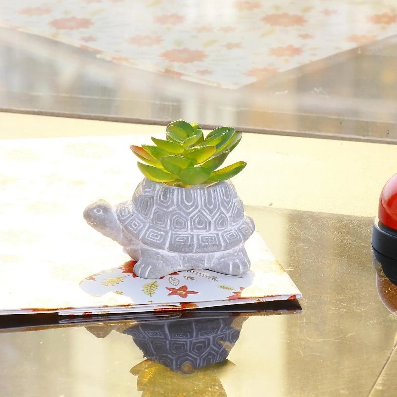 Turtle Planter Cute Creative Pot Lifelike for Living Room Office Farmhouse Desktop Housewarming Gift
Turtle Planter Cute Creative Pot Lifelike for Living Room Office Farmhouse Desktop Housewarming Gift