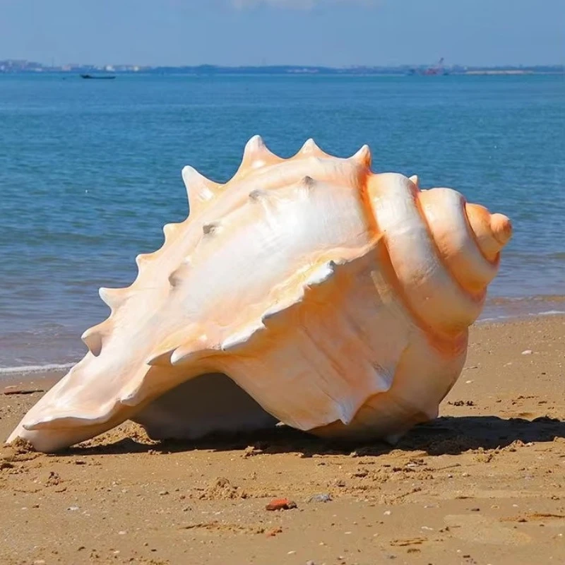 Simulation glass fiber resin shell for home decoration Elegant aquarium craft resin shell
Simulation glass fiber resin shell for home decoration Elegant aquarium craft resin shell