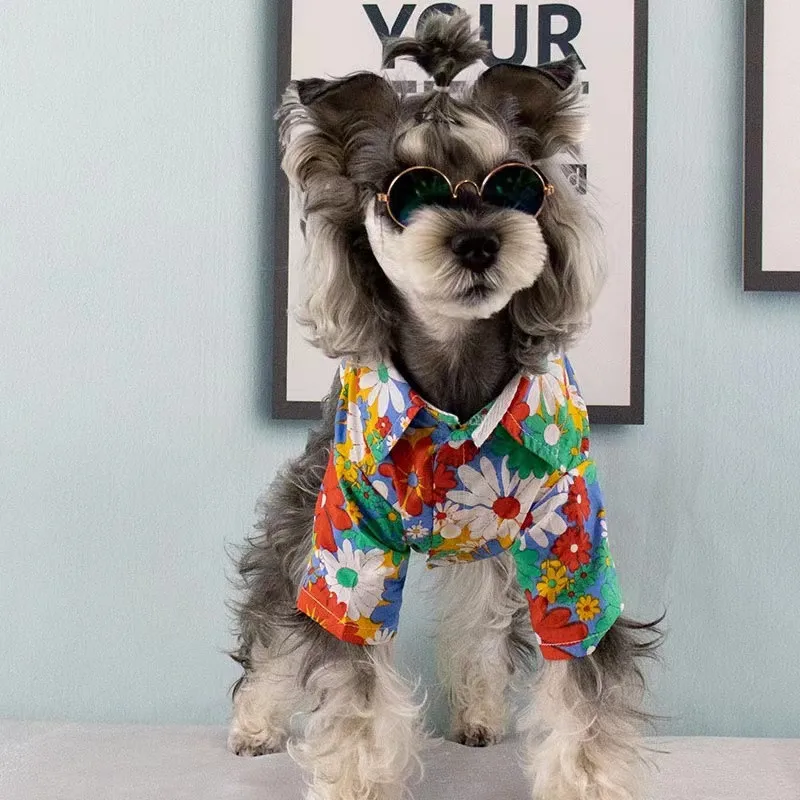 Little Dog Floral Teddy Base Shirt Spring Summer Two-Legged Tech Pug Beach Trendy Clothing
Little Dog Floral Teddy Base Shirt Spring Summer Two-Legged Tech Pug Beach Trendy Clothing