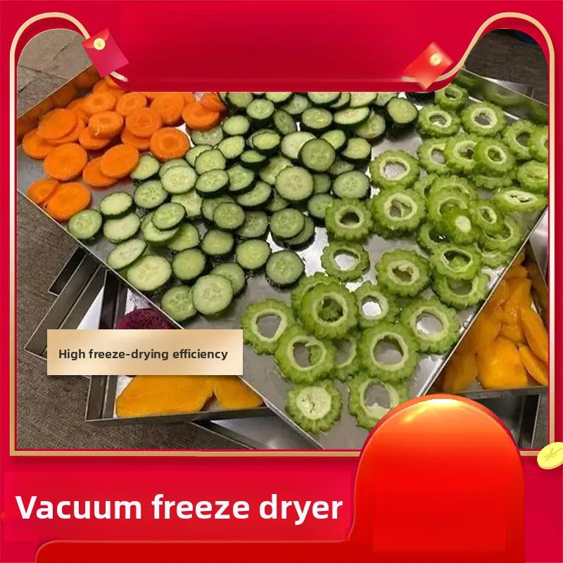 Crispy Persimmon Slicing Insect Earthworm Low Temperature Vacuum Chinese Herbal Medicine Freeze Dryer
Crispy Persimmon Slicing Insect Earthworm Low Temperature Vacuum Chinese Herbal Medicine Freeze Dryer