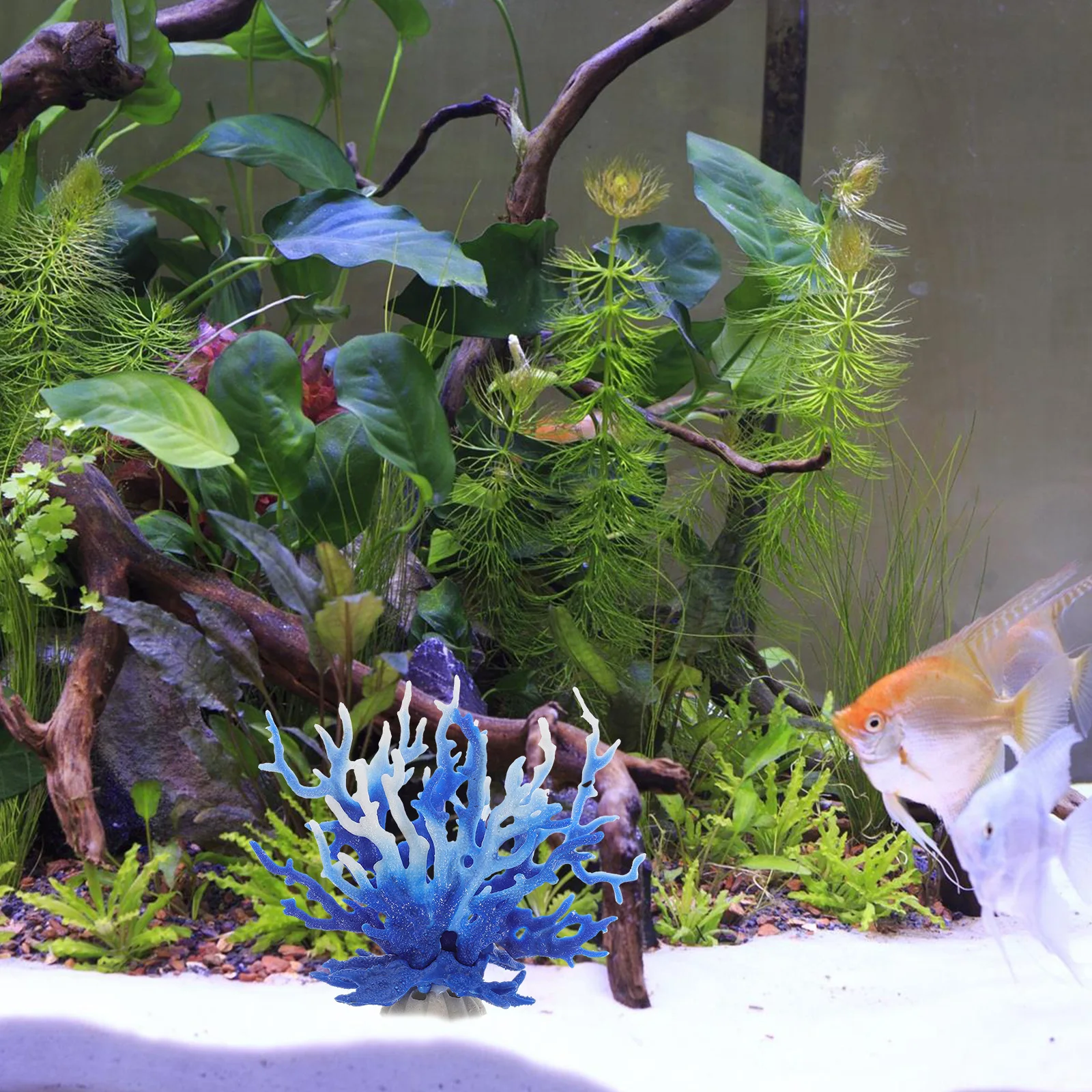 Delicate Coral Ornament Premium Material Bright Color Fade Resistant Fine Grinding Decorate Pool Tabletop Aquarium Accessory
Delicate Coral Ornament Premium Material Bright Color Fade Resistant Fine Grinding Decorate Pool Tabletop Aquarium Accessory