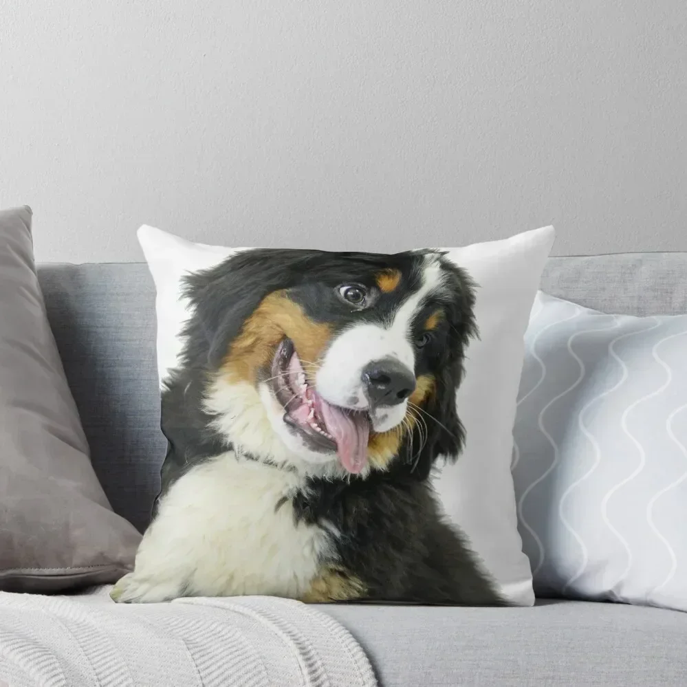 Bernese Mountain Dog Throw Pillow luxury home accessories Room decorating items Sitting Cushion pillow
Bernese Mountain Dog Throw Pillow luxury home accessories Room decorating items Sitting Cushion pillow