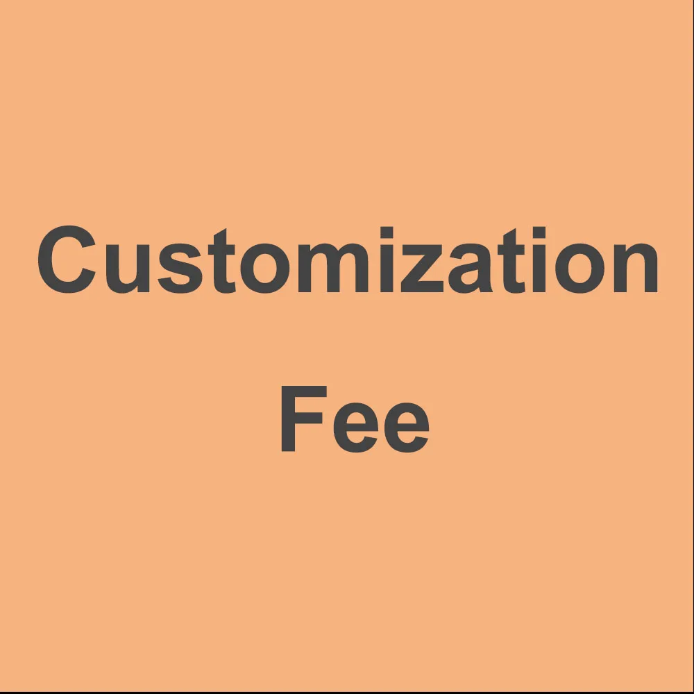 Payment for customization fees and other expenses
Payment for customization fees and other expenses