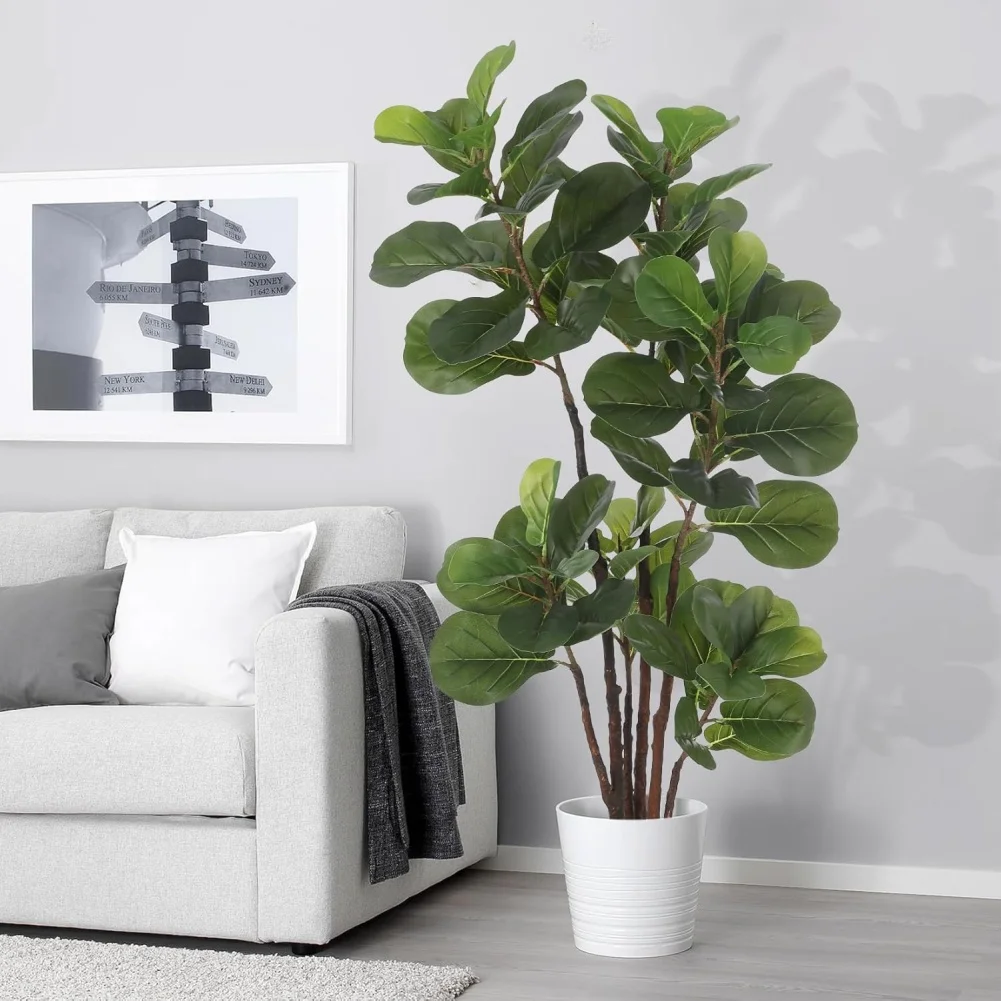 Искусственное дерево фикус лирата (Fiddle Leaf Fig) 4/5 футов, имитация фикуса лирата с листьями в горшке, искусственное зеленое растение для дома и улицы
Искусственное дерево фикус лирата (Fiddle Leaf Fig) 4/5 футов, имитация фикуса лирата с листьями в горшке, искусственное зеленое растение для дома и улицы
