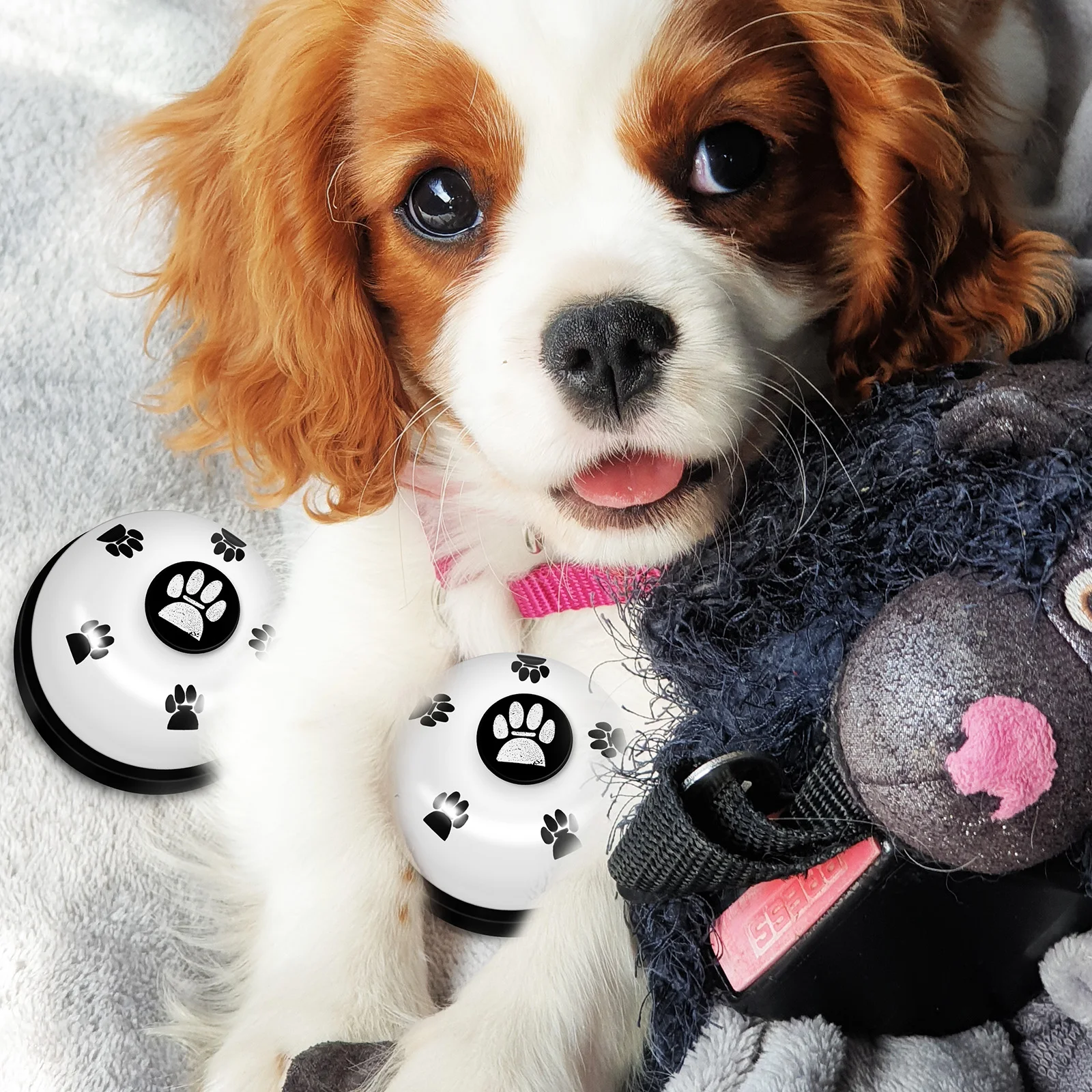 3pcs Dog Training Bells Puppy Pet Potty Press Bells Abs Iron Material Lightweight Compact Non-Skid Service Call Bell For 
3pcs Dog Training Bells Puppy Pet Potty Press Bells Abs Iron Material Lightweight Compact Non-Skid Service Call Bell For