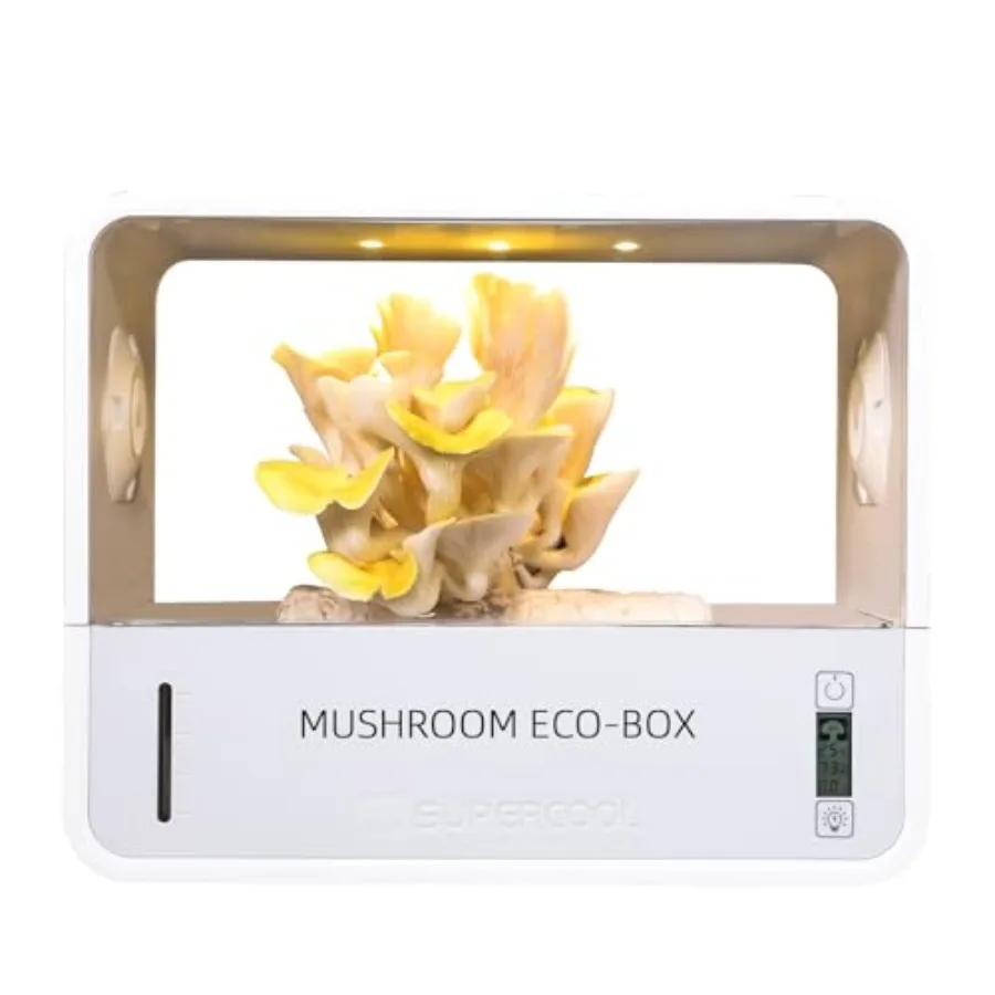 Indoor Still Air Box for Mushroom Growers with Temperature and Humidity Display Smart Mushroom Growing Kit in Black Includes Gr
Indoor Still Air Box for Mushroom Growers with Temperature and Humidity Display Smart Mushroom Growing Kit in Black Includes Gr