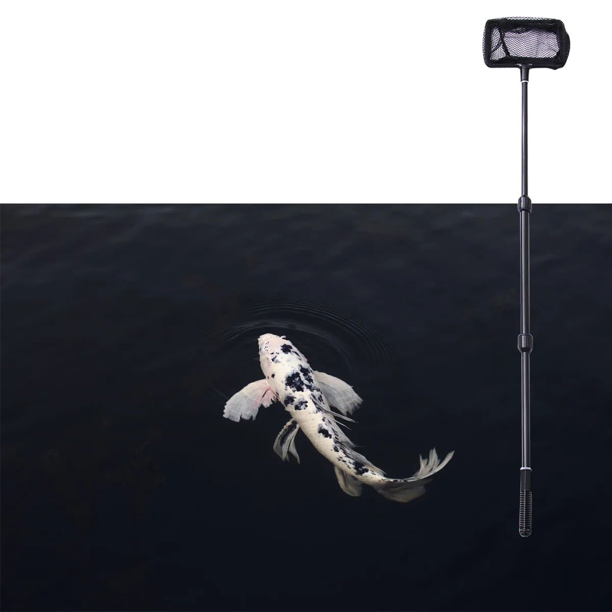 Extendable Fishing Net Plastic Pole Handle Telescopic Landing Net Tuck Net for Fish Tank Lakes Ponds (Size S)
Extendable Fishing Net Plastic Pole Handle Telescopic Landing Net Tuck Net for Fish Tank Lakes Ponds (Size S)