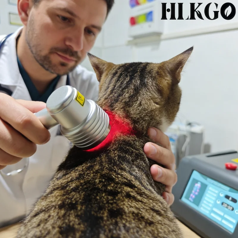 Veterinary & Human Laser Therapy Machine, Dual Probe 808nm Deep 650nm Surface for Arthritis Injury Pain Relief
Veterinary & Human Laser Therapy Machine, Dual Probe 808nm Deep 650nm Surface for Arthritis Injury Pain Relief