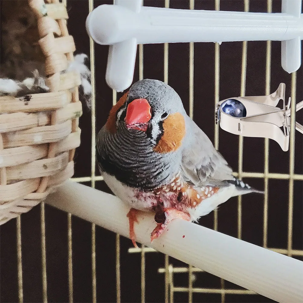 6pcs Bird Vegetable Fruit Holder Durable Parrot Cage Food Clips Fruits Fixing Bird Feeder Clamp Storage Pet Supplies Healthy
6pcs Bird Vegetable Fruit Holder Durable Parrot Cage Food Clips Fruits Fixing Bird Feeder Clamp Storage Pet Supplies Healthy