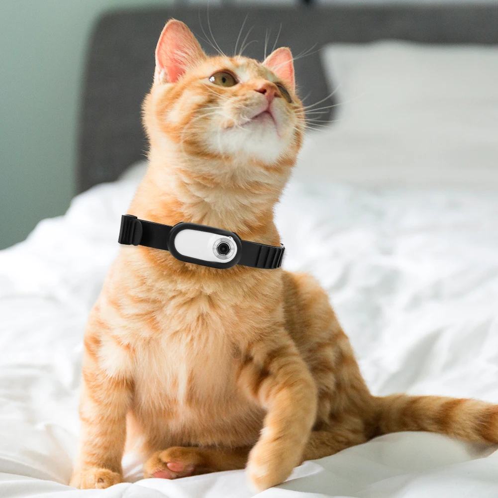 HD 1080P Sport/Action Camera No WiFi Needed Dog Cat Pet Camera Collar Security Camera Video Records for Cats Dogs Birthday Gift
HD 1080P Sport/Action Camera No WiFi Needed Dog Cat Pet Camera Collar Security Camera Video Records for Cats Dogs Birthday Gift