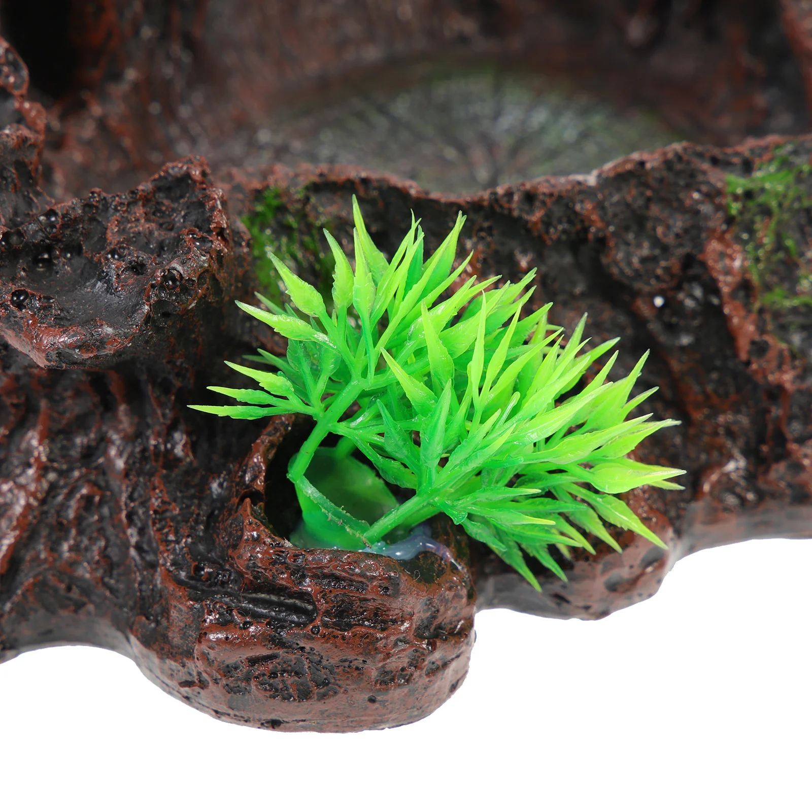 Bowl Resin Food Dish Sturdy Stable Reptile Feeding Accessory Decorative Pet Diet Comfortable Digestible Bearded
Bowl Resin Food Dish Sturdy Stable Reptile Feeding Accessory Decorative Pet Diet Comfortable Digestible Bearded