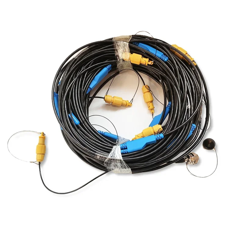 12 Channels Seismic Cable With 12 Pcs Amphib-IV Geophone Connector/seismic Refraction Cable
12 Channels Seismic Cable With 12 Pcs Amphib-IV Geophone Connector/seismic Refraction Cable