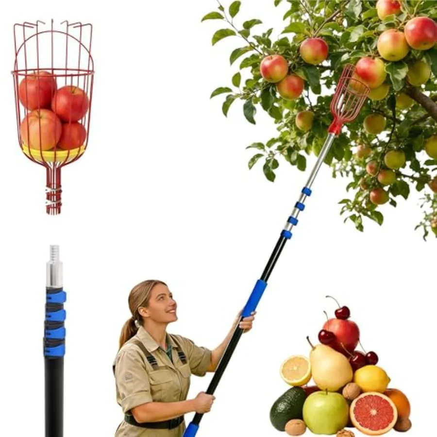 26Feet Reach Fruit Picker Pole with Basket Telescoping 5- Extendable Aluminum Apple Picker for Picking Avocados Figs Mangoes Ci
26Feet Reach Fruit Picker Pole with Basket Telescoping 5- Extendable Aluminum Apple Picker for Picking Avocados Figs Mangoes Ci