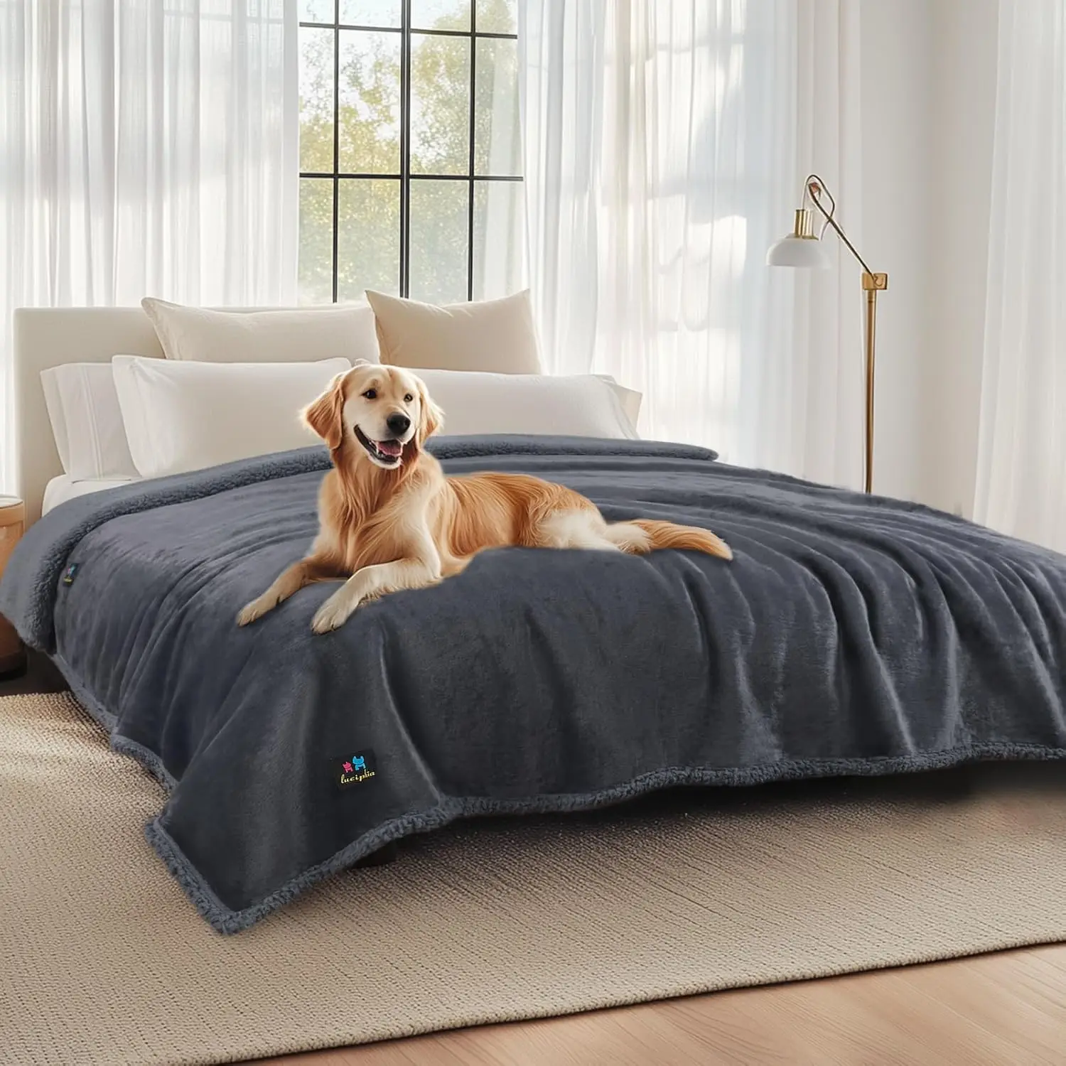 Waterproof Pet Blankets, Reversible Fleece Furniture Protector for Dogs Cats, Dark Gray King Size (100" x 85")
Waterproof Pet Blankets, Reversible Fleece Furniture Protector for Dogs Cats, Dark Gray King Size (100" x 85")