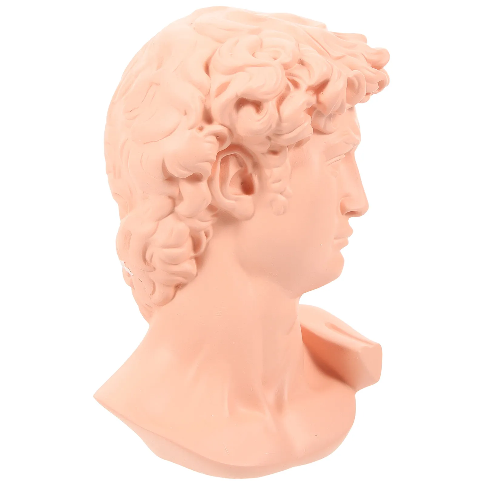 1Pcs Premium Resin David Head Sculpture Artistic Home Office Garden Balcony Decor Desktop Display Statue Adornment Resin Craft
1Pcs Premium Resin David Head Sculpture Artistic Home Office Garden Balcony Decor Desktop Display Statue Adornment Resin Craft