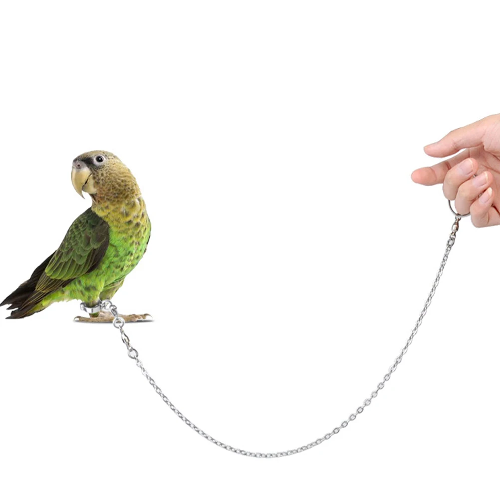 Stainless Steel Chain Parrot Foot Chain Rust Resistant Durable Lightweight Bird Harness For Parakeets Cockatiel Training
Stainless Steel Chain Parrot Foot Chain Rust Resistant Durable Lightweight Bird Harness For Parakeets Cockatiel Training