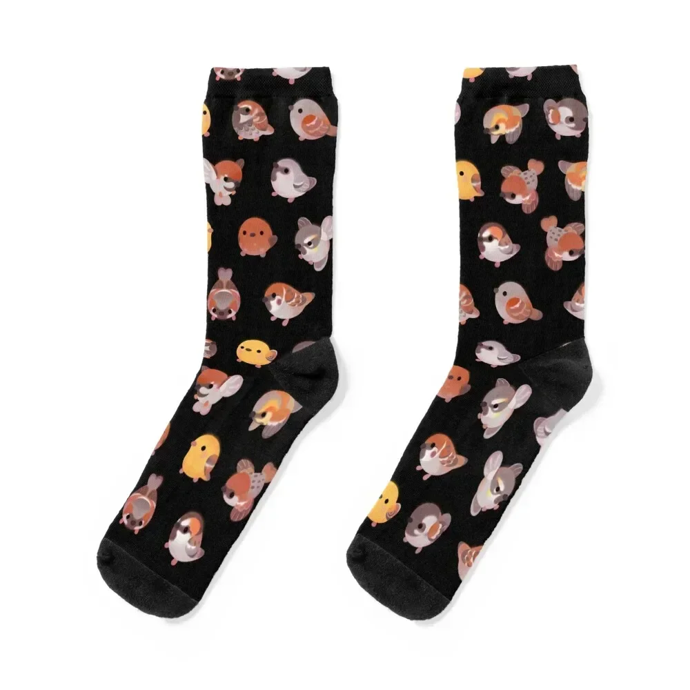 Sparrow - dark Socks funny sock gym Sports anti-slip Boy Child Socks Women's
Sparrow - dark Socks funny sock gym Sports anti-slip Boy Child Socks Women's