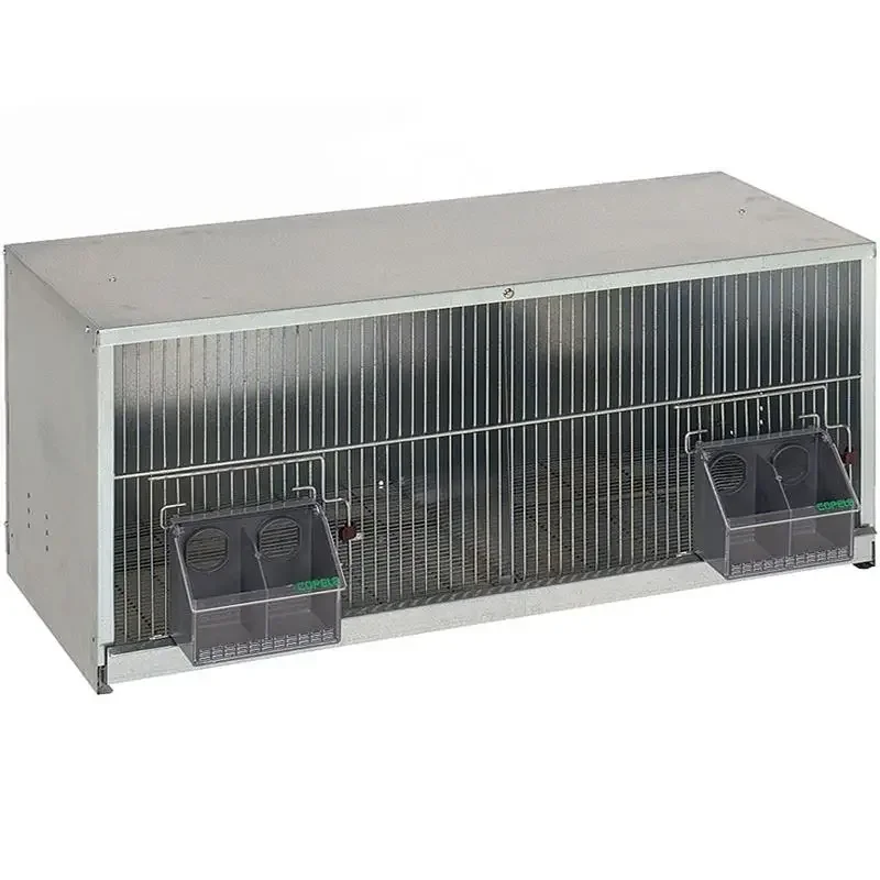 Шоу Клетка 2. Депт. 1,20 м.
Шоу Клетка 2. Депт. 1,20 м.