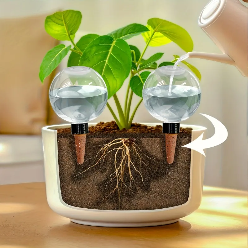 8pcs Gradient Round Ball Self Watering Bulb Automatic Plant Waterer Drip Irrigation for Succulents
8pcs Gradient Round Ball Self Watering Bulb Automatic Plant Waterer Drip Irrigation for Succulents