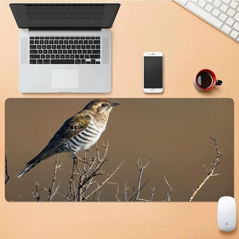 white-throated sparrow bird Mouse Pad Desk Mouse Pad Cute HD Desk Pad Extended Gaming Keyboard Mats Large XXL Gamer Mousepad
white-throated sparrow bird Mouse Pad Desk Mouse Pad Cute HD Desk Pad Extended Gaming Keyboard Mats Large XXL Gamer Mousepad