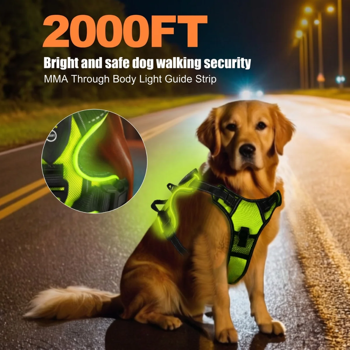 Light Up Dog Harness, Reflective & Rechargeable LED Vest for Night Walking, Adjustable Safety Fit for Small/Medium/Large Dogs
Light Up Dog Harness, Reflective & Rechargeable LED Vest for Night Walking, Adjustable Safety Fit for Small/Medium/Large Dogs