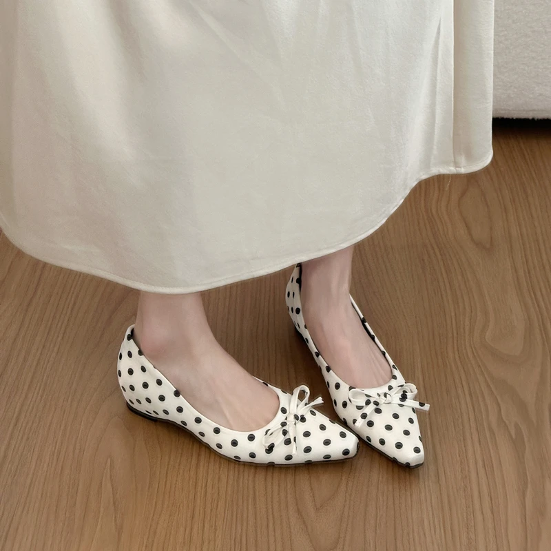 Autumn Women Polka Dot Mary Jane Shoes Pointed Toe Low Heel Casual Footwear Ladies Slip On Dress Office Daily Walking Shoes
Autumn Women Polka Dot Mary Jane Shoes Pointed Toe Low Heel Casual Footwear Ladies Slip On Dress Office Daily Walking Shoes