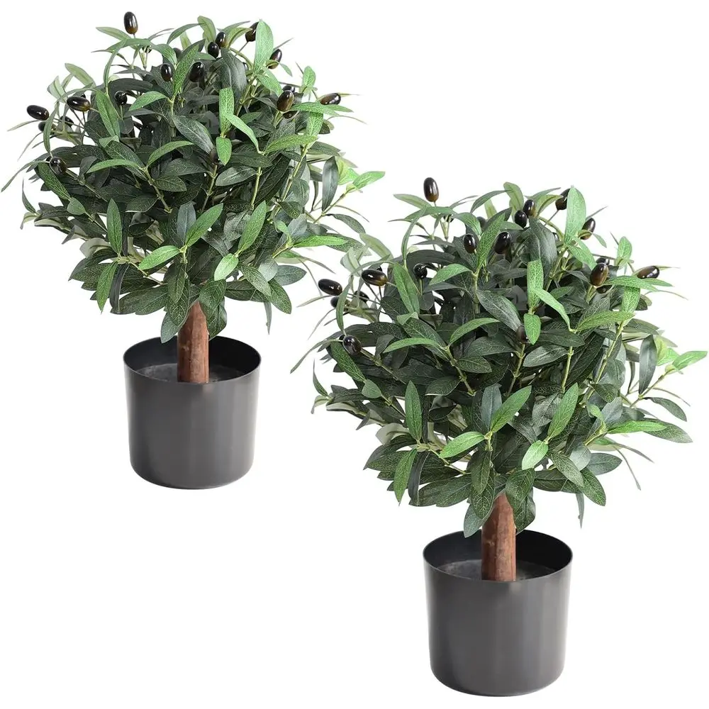 20 Inch Artificial Olive Topiary Trees, Set of 2, Potted for Indoor or Porch Decoration
20 Inch Artificial Olive Topiary Trees, Set of 2, Potted for Indoor or Porch Decoration
