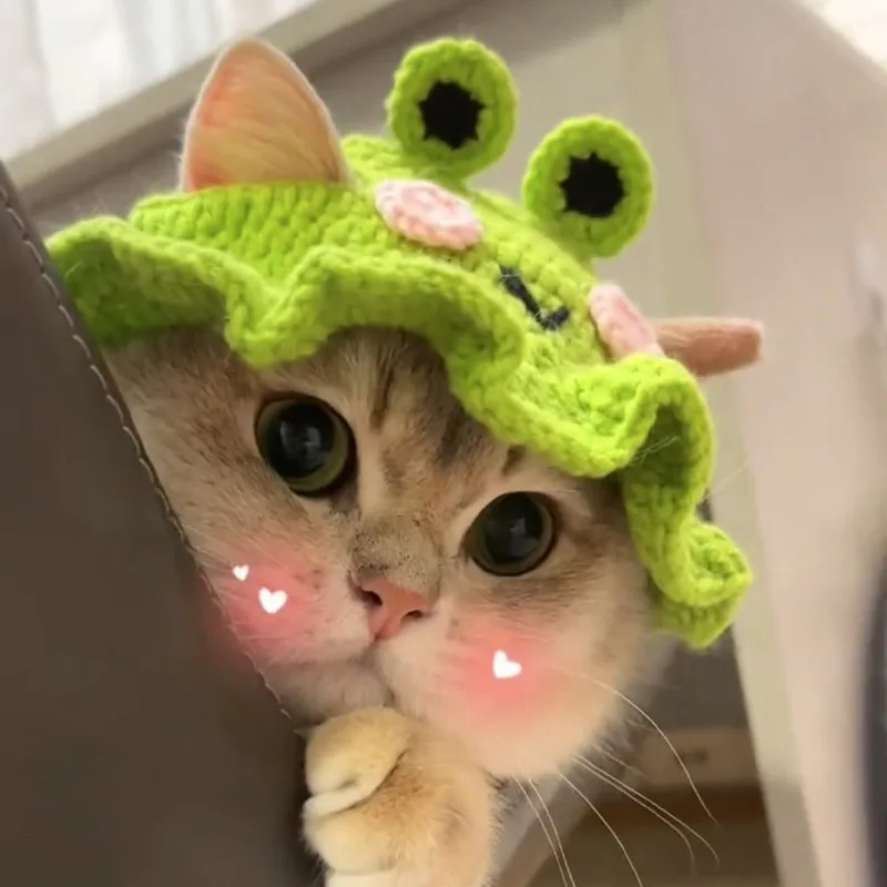 Festive pet frog hat cat headgear drag hat flower cute headgear dog hats new year christmas chapeu para cachorro Pet supplies
Festive pet frog hat cat headgear drag hat flower cute headgear dog hats new year christmas chapeu para cachorro Pet supplies