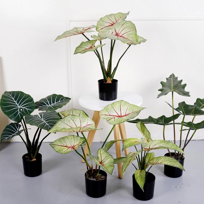 Decorative simulation taro leaf home ornament plastic plant variegated leaf green plant potted plant
Decorative simulation taro leaf home ornament plastic plant variegated leaf green plant potted plant