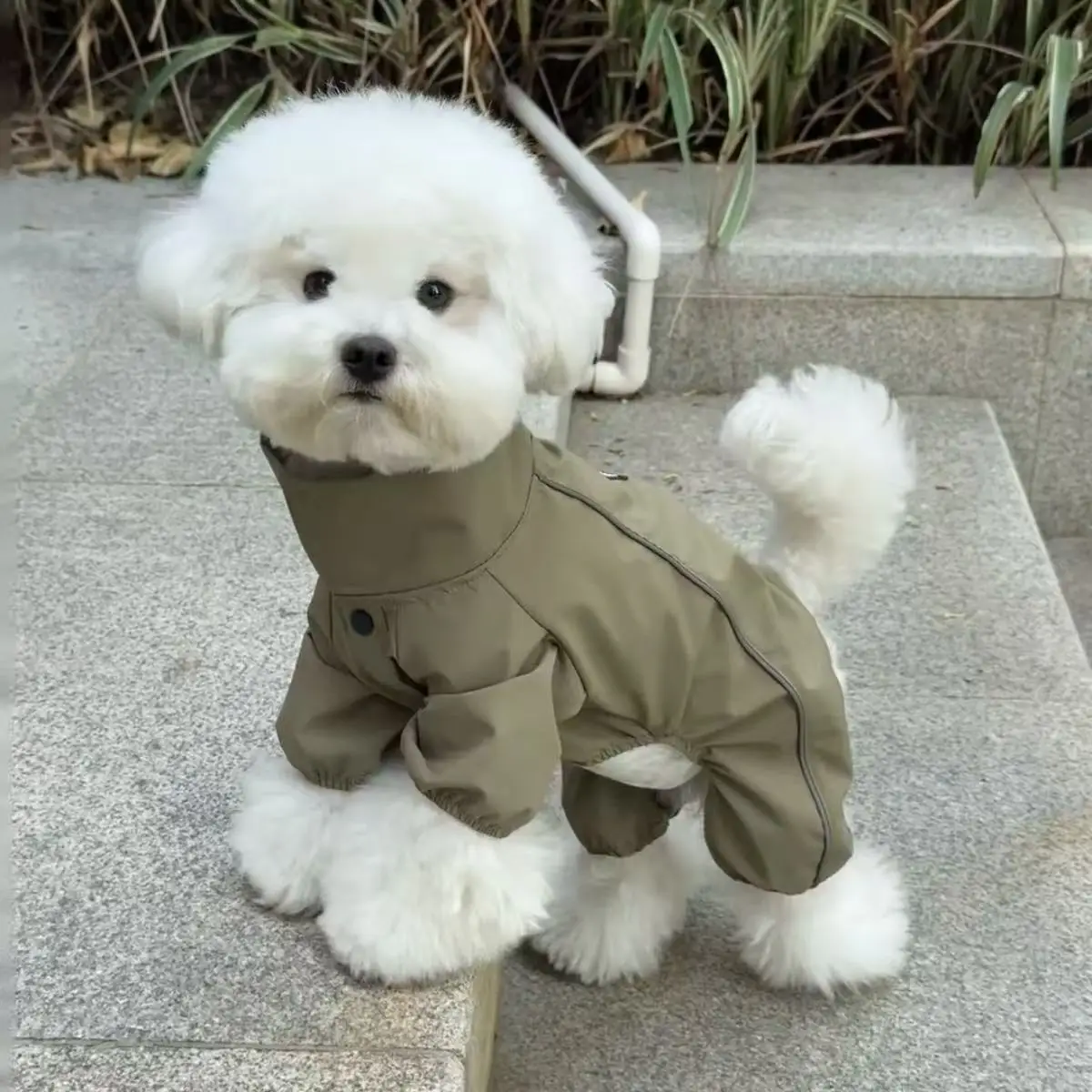 Pet Dog Cat Windproof waterproof Jacket Lightweight Dog Outdoor Jackets Dog Winter Jumpsuit Dog Rain Coat For Small Medium Dogs
Pet Dog Cat Windproof waterproof Jacket Lightweight Dog Outdoor Jackets Dog Winter Jumpsuit Dog Rain Coat For Small Medium Dogs