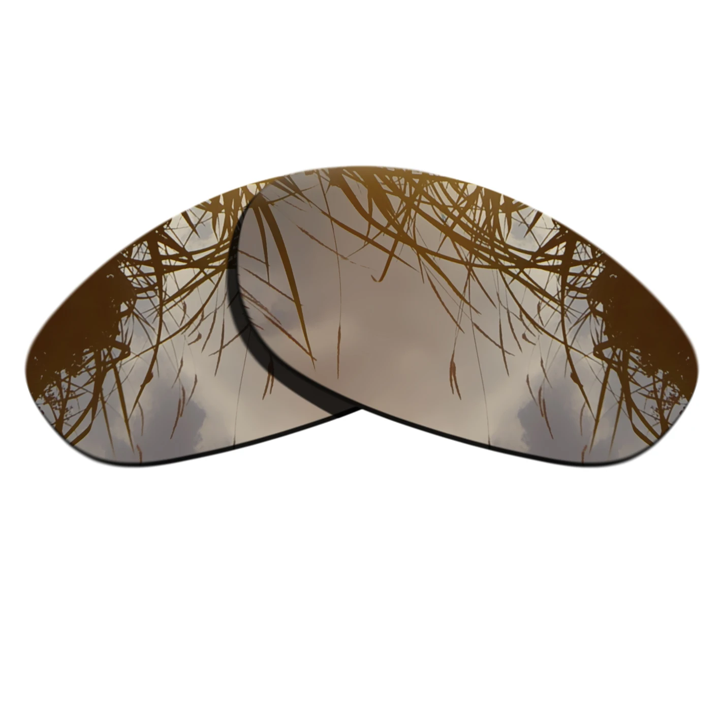 Сменные поляризационные линзы Earth Brown для солнцезащитных очков Oakley Monster Dog с защитой от царапин
Сменные поляризационные линзы Earth Brown для солнцезащитных очков Oakley Monster Dog с защитой от царапин