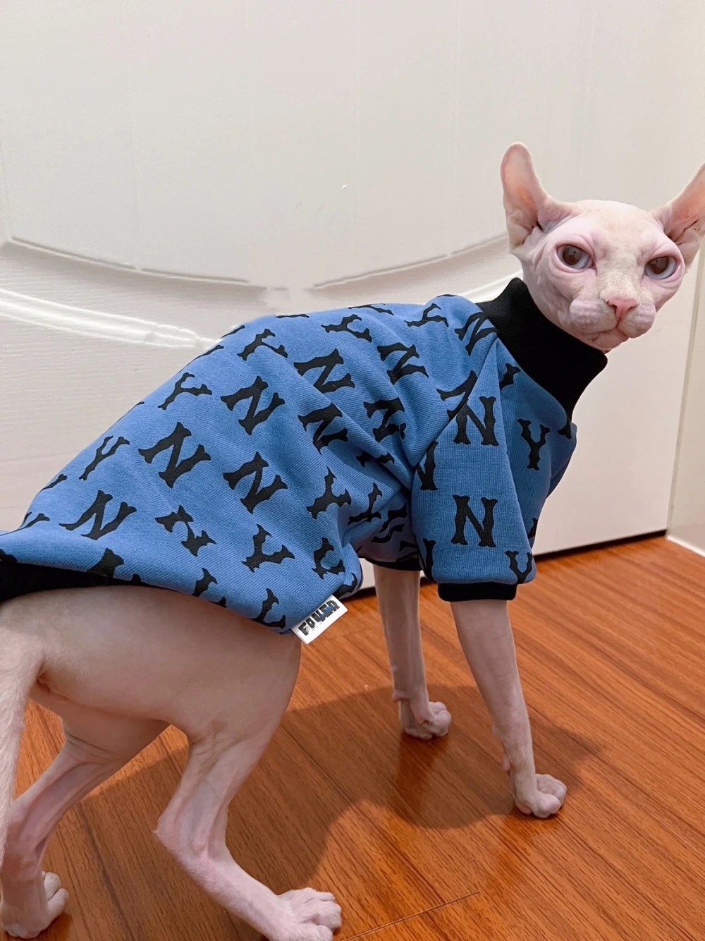Кошачья одежда Sphynx, мягкая Толстовка для мужчин, кошачья весенняя куртка с длинным рукавом для Devon Rex, зимний костюм для котят, товары для кошек
Кошачья одежда Sphynx, мягкая Толстовка для мужчин, кошачья весенняя куртка с длинным рукавом для Devon Rex, зимний костюм для котят, товары для кошек