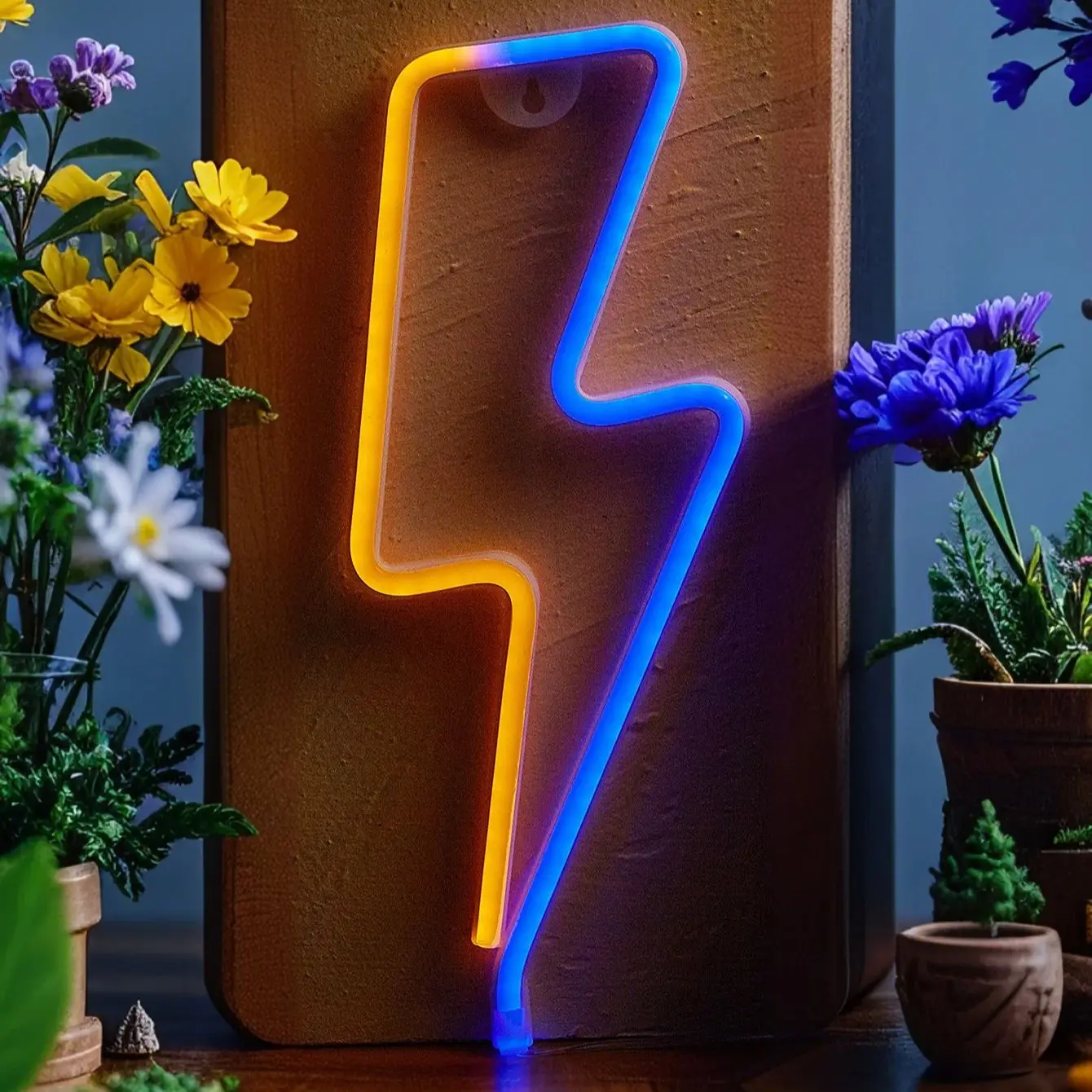 Chi-buy светодиодные неоновые молнии с питанием от USB, неоновые вывески, декоративные лампы, знаки, подарок на день рождения, настенное искусство для спальни, комнаты, бара, магазина
Chi-buy светодиодные неоновые молнии с питанием от USB, неоновые вывески, декоративные лампы, знаки, подарок на день рождения, настенное искусство для спальни, комнаты, бара, магазина