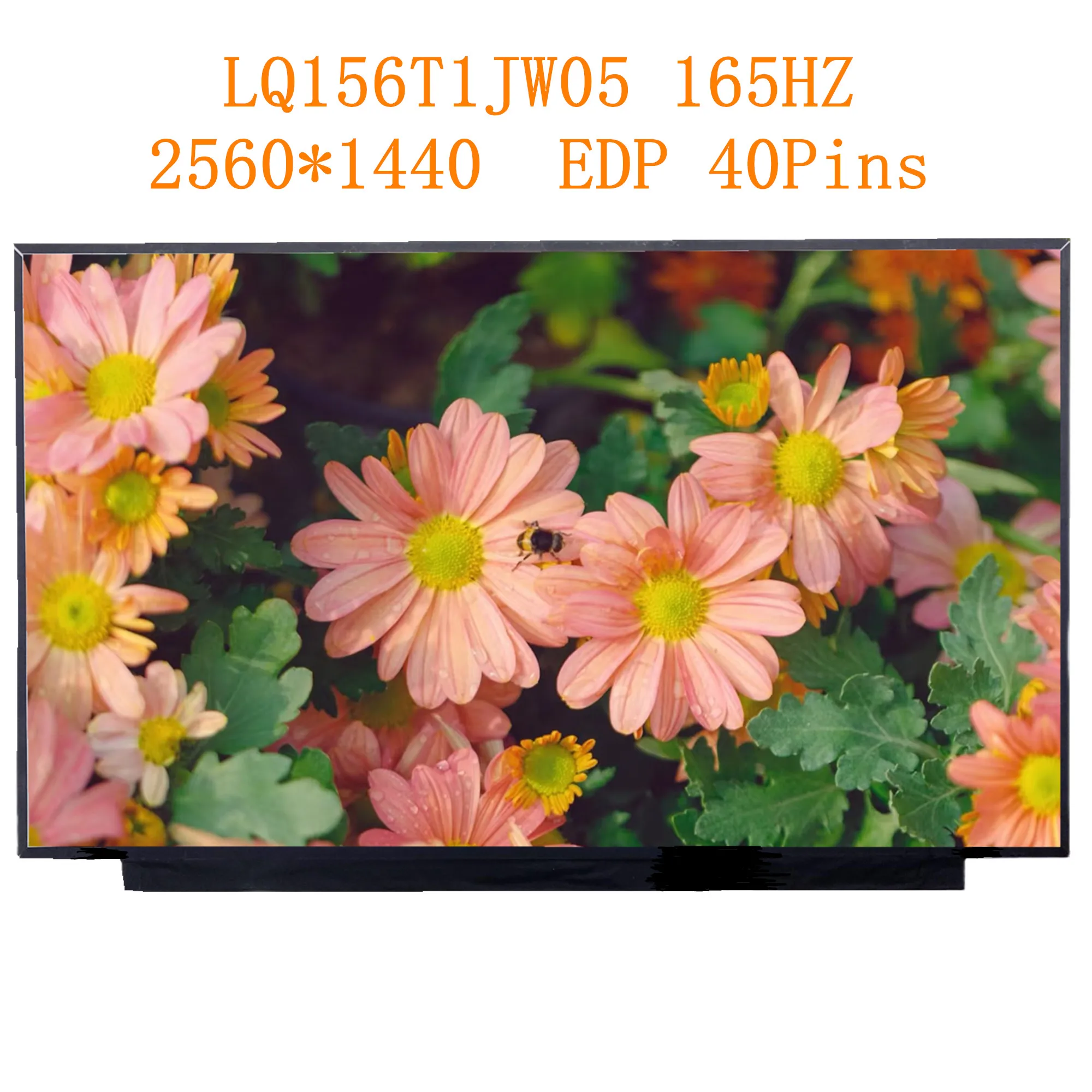 15.6'' 165Hz LQ156T1JW05 Laptop LCD Screen Display Panel 2560*1440 EDP 40 Pins
15.6'' 165Hz LQ156T1JW05 Laptop LCD Screen Display Panel 2560*1440 EDP 40 Pins