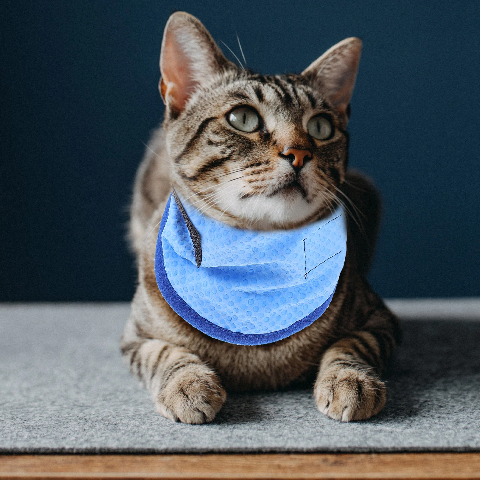 PVA Pet Cool Scarf Cooling Dog Collar Small Bandana for Hot Days Long Lasting Chemical Free Comfortable Dog Accessories
PVA Pet Cool Scarf Cooling Dog Collar Small Bandana for Hot Days Long Lasting Chemical Free Comfortable Dog Accessories