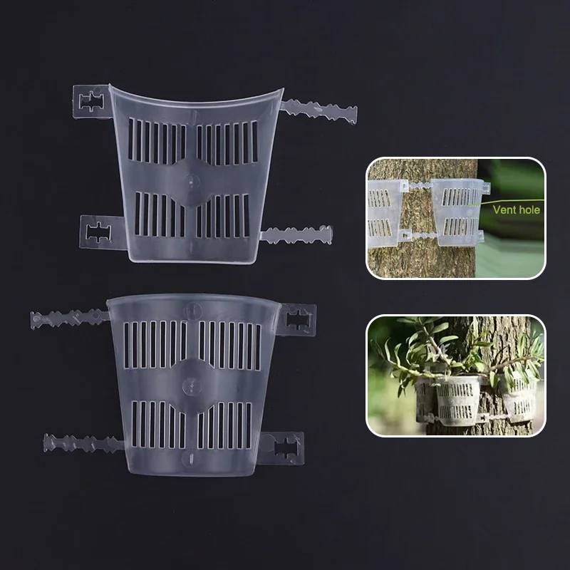 10pcs Orchid Planting Boards With Root-Control & Aeration Dendrobium Mounting Panels For Bonsai Indoor/Outdoor
10pcs Orchid Planting Boards With Root-Control & Aeration Dendrobium Mounting Panels For Bonsai Indoor/Outdoor