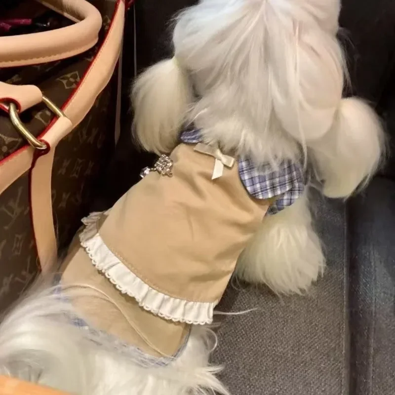 Pet Clothes Dog Cat Autumn New Foreign Style Dress Fake Two Pieces Teddy Bear Small Dog Sleeveless
Pet Clothes Dog Cat Autumn New Foreign Style Dress Fake Two Pieces Teddy Bear Small Dog Sleeveless